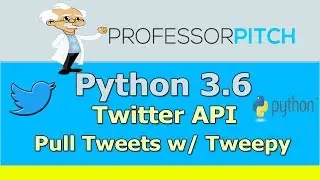[Beginners] Using the Twitter API