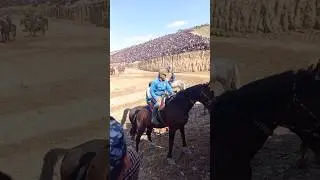 KARIM POLVON MASHXUR PRADO LAQABLI OTDA MARRA QILDI