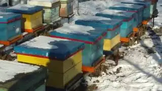 Утеплительные подушки для пчел. Зимовка пчел 2018 год.