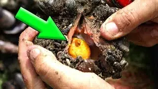 10 Achados que Deixaram as Pessoas Milionárias