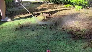 Power Washing Cleaning Putting Green moss normal speed satisfying ASMR