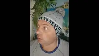 Где обедал воробей?