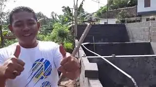 Untuk kolam lele yang baru lakukan permentasi air kolam seperti ini