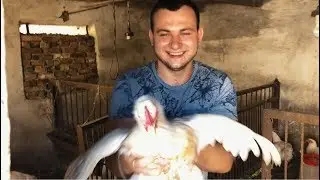 Квест комната ЛАБИРИНТ / годовщина родителей