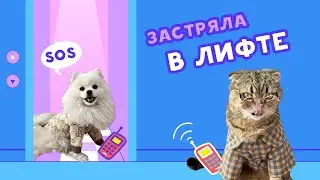 АВАРИЯ В ЛИФТЕ // КАССИ И БРЮС: ВЫРАСТИ ЛЮБОЙ ЦЕНОЙ