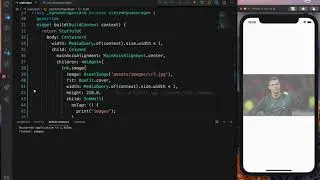 Ink.image Flutter
