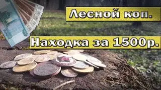 Лесной коп. Находка за 1500 рублей.
