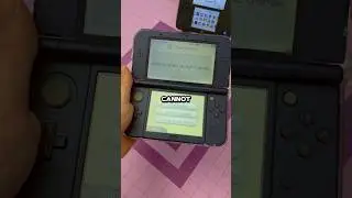 The BIG Difference between the 3DS XL and LL
