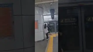 Сеульское метро .