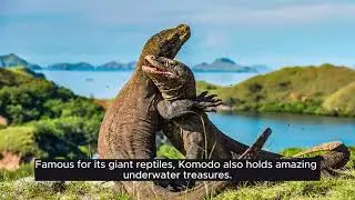 the beauty of the Indonesian sea in several places
