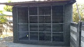 Dog House