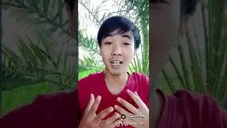 abg hijab mesum dan pesta mabuk