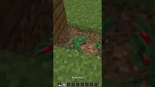 how to make open entrance #youtubeshorts #viral #hacks #tiktok #minecraft