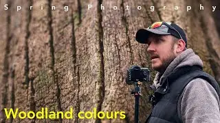 SPRING WOODLAND PHOTOGRAPHY Looking for colour!