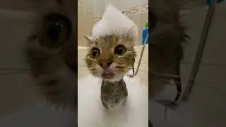 Немножечко не получилось 😢￼