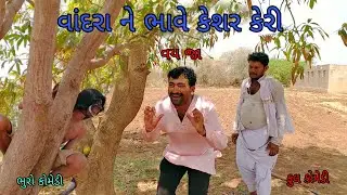 વાંદરા ને ભાવે કેશર કેરી |bhurocomedy |gujaraticomedy |bccomedy