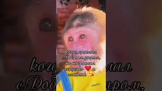 Когда прислал с добрым утром,но...