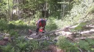 @Klapipuitten pätkintä Huqswarna 340🇫🇮