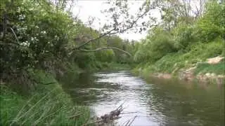 Su srovele