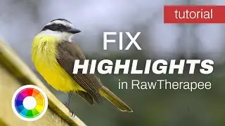 Fix Harsh Highlights in RawTherapee | Tutorial