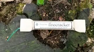 Самодельная петарда на кит. флеше/homemade firecracker with Chinese flash