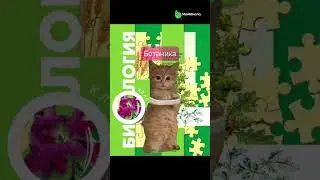 Переходи в тг-канал biotonya чтобы забрать бесплатные материалы для подготовки к ОГЭ #огэ #биология