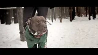 Кубок Пермского края по вейтпуллингу 25.12.2011