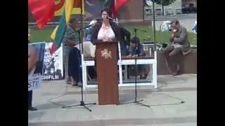 2012.05.26 kalba 7 vaikų mama Klaipėdoje, Atgimimo aikštėje