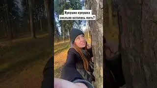 😅КУКУШКА ГАДАЛКА 