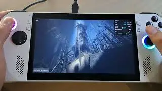 ROG Ally / Demon's Souls - RPCS3 / Graphic Bug Fix and better FPS with Lossless Scaling