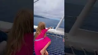 Лето 2024