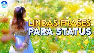50 frases MAIS LINDAS PARA STATUS / MPBR @mensagensdepazbr [TOTALMENTE INÉDITAS]