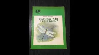 Танасийчук В. Сколько глаз у стрекозы?