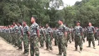 တအာင်းအမျိုးသား လွတ်မြောက်ရေး တပ်မတော် (TNLA)
