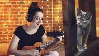 I do Adore - Mindy Gledhill (Kittens & Ukulele Cover)