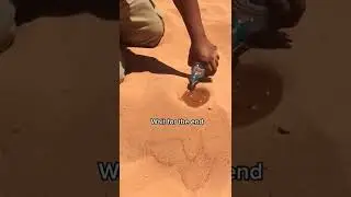Grand Canyon Diy - Travel to Arizona🌵🏜️