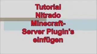 Tutorial Nitrado Minecraft-Server Plugin's einfügen - KaningasHelps