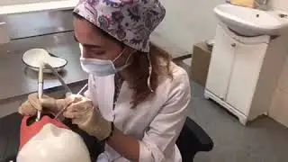 T.MASTER trainned in AI Yevdokimov Moscow State University of Medicine & DentistryState University