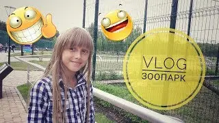 VLOG:ЗООПАРК и Зверюшки/ТИГР и БЕЛОЧКИ,HELLO//SONIA MALINA//