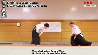 Meishinryu Aikido techniques 明真流　合気道の稽古 #aikido #合気道 #天照会　2025 0214 01