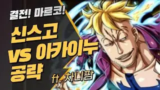 원트크] 결전 마르코! vs스고 아카이누 공략~! (원피스 트레저 크루즈, 決戦マルコ攻略)