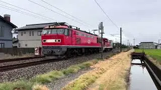 配6550ﾚ  DD200無動力回送