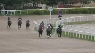 20.05.2018 - Приз в честь Краснодарского ипподрома - Фараонка