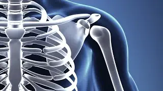 Boost Your Bone Health