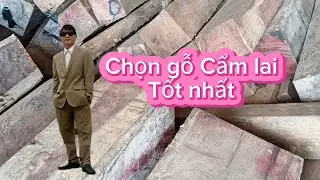 Bộ ghế gỗ cẩm lai, cẩm chỉ có trất lượng tốt nhất