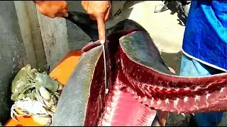 BIG TUNA FISH CUTTING SKILLS FASTEST at Village Street Fish Market || Best Fishing Video