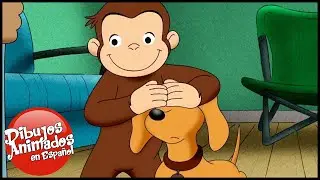 Jorge el Curioso en Español 🐵Hundley un Perro Grande🐵 Capitulos completos del Mono Jorge