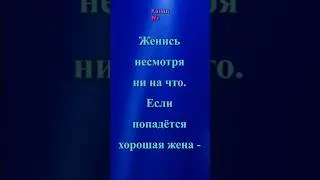 СОКРАТ: «Женись, несмотря ни на что. Если попадётся …»  #афоризмы #цитаты #мудрыемысли
