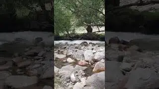 Субадай Каримов!