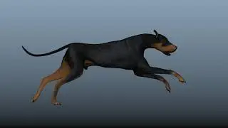 Dog run animation